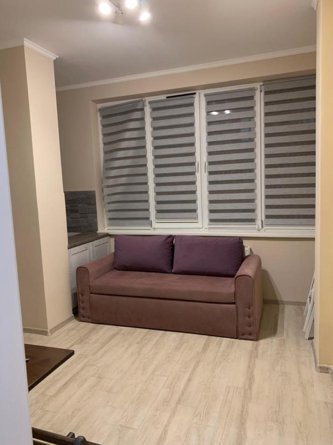 Срібний Дім Apartments Truskavec' Esterno foto